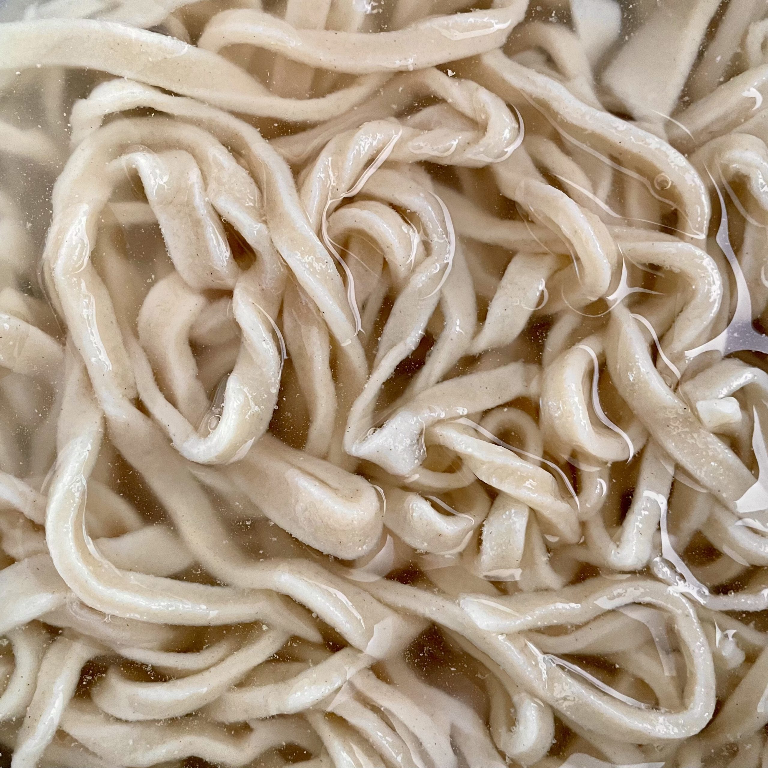 Handmade Noodles (Super Chewy)